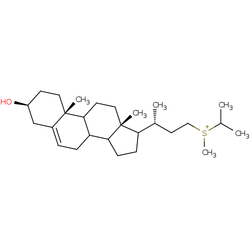 PNG