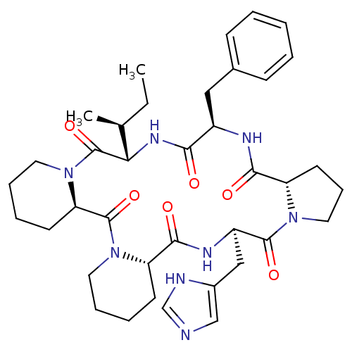 PNG