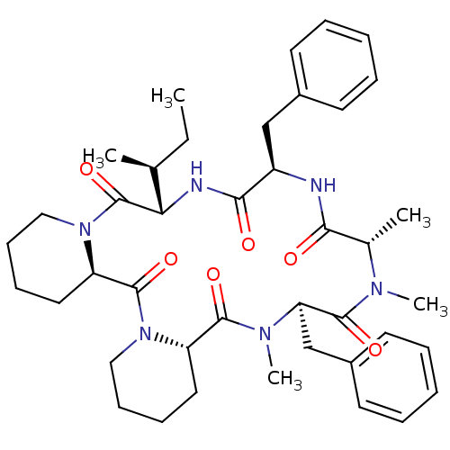 PNG