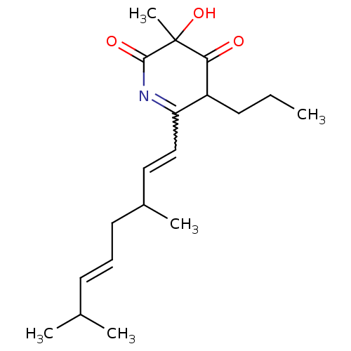 PNG