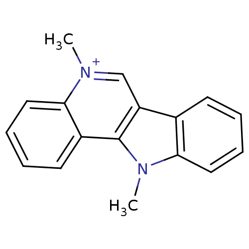 PNG