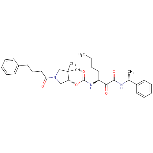 PNG