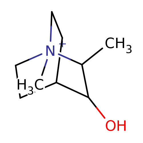 PNG