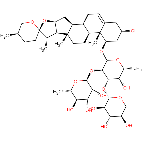 PNG