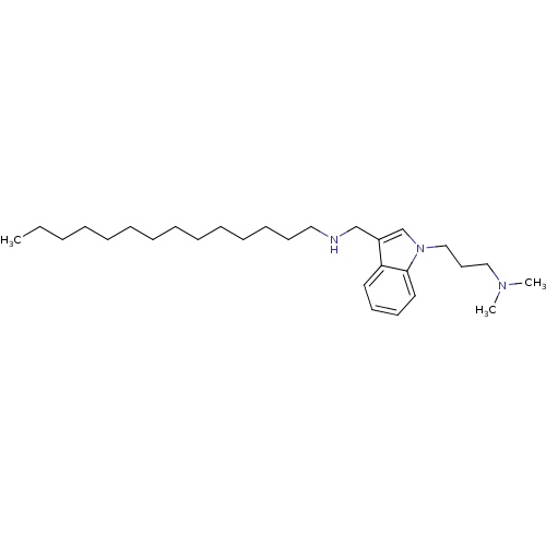PNG