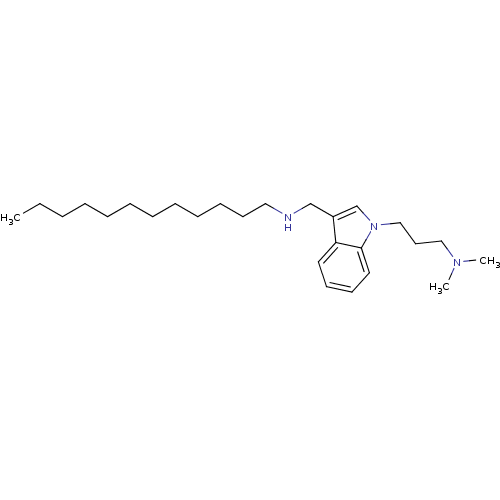 PNG