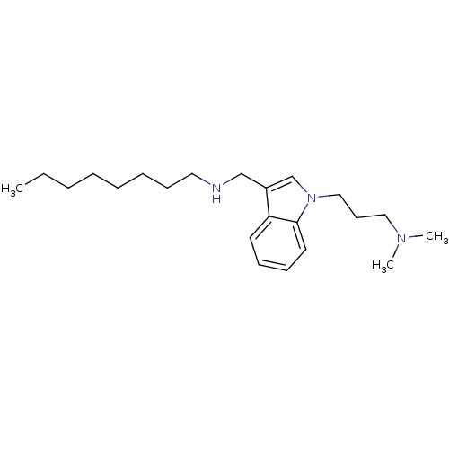 PNG