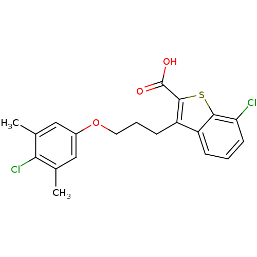 PNG