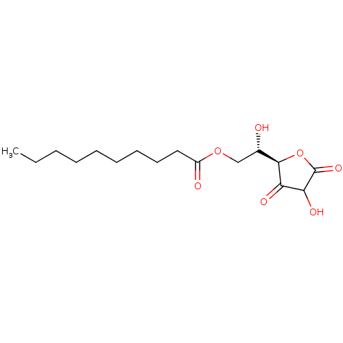 PNG