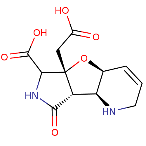 PNG