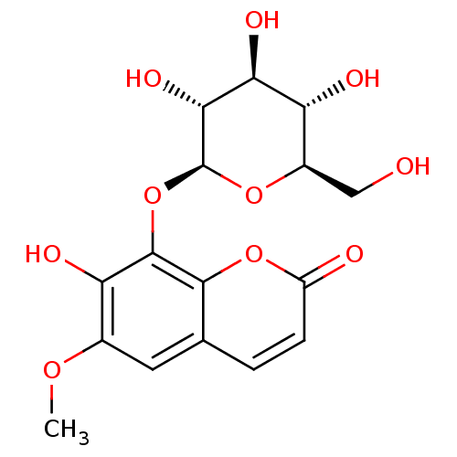 PNG