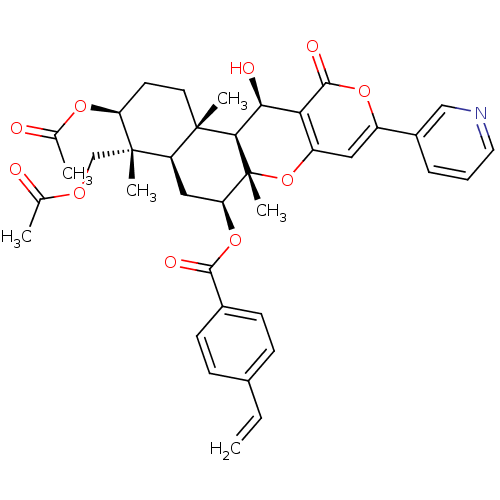 PNG