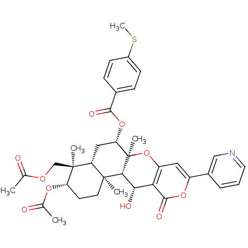 PNG