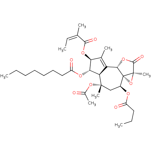 PNG