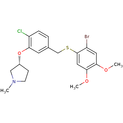PNG