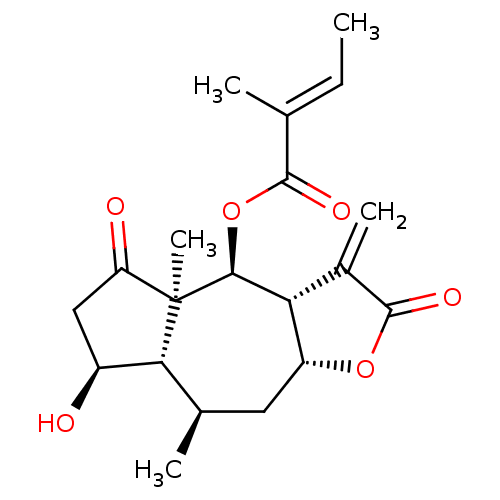 PNG
