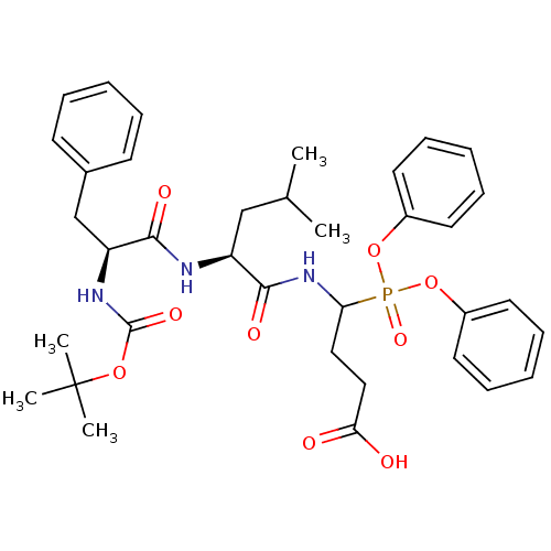 PNG
