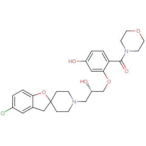 PNG