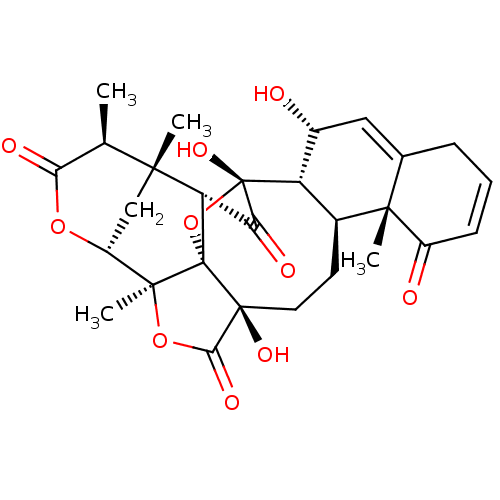PNG