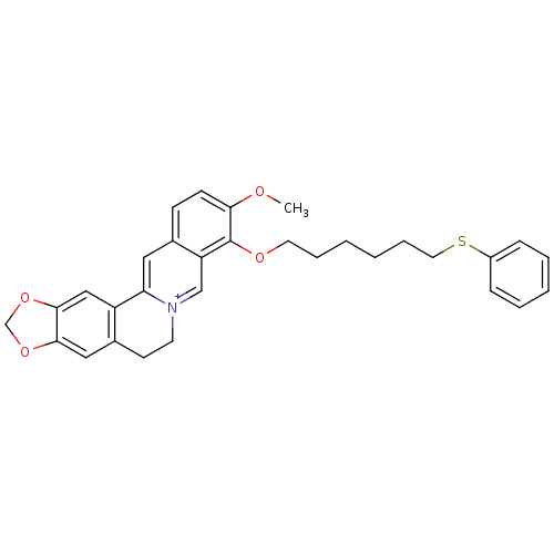 PNG