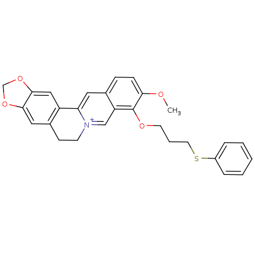 PNG