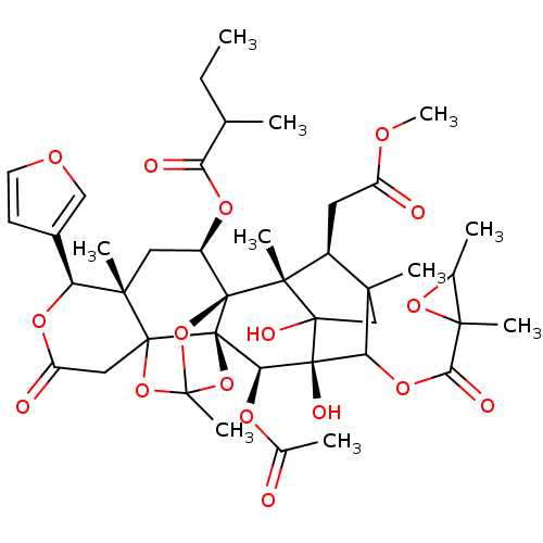 PNG