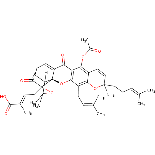 PNG