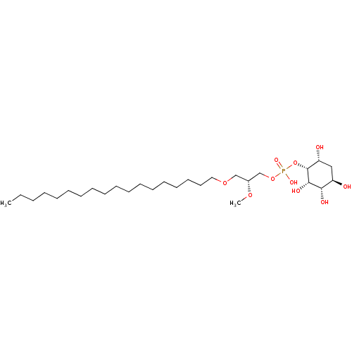PNG
