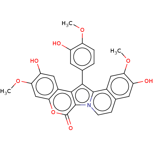 PNG