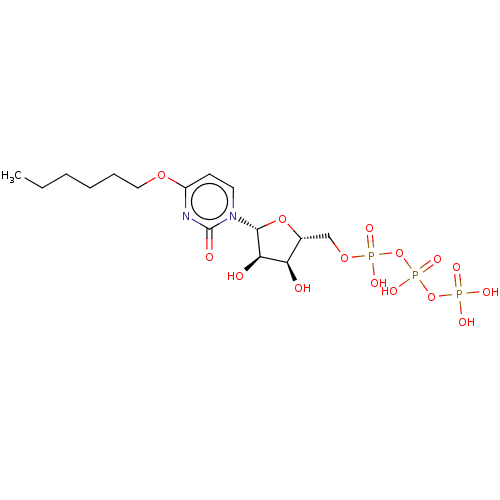 PNG