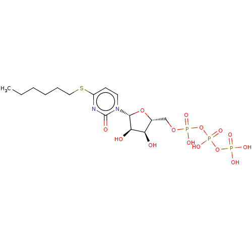 PNG