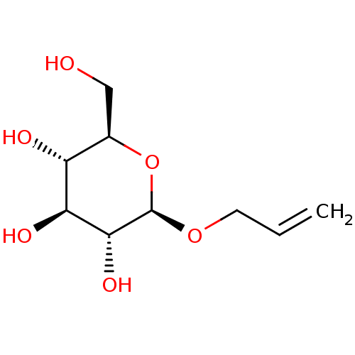 PNG