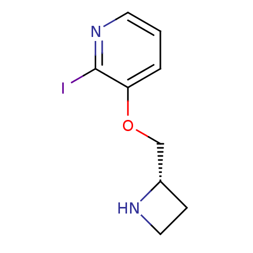 PNG