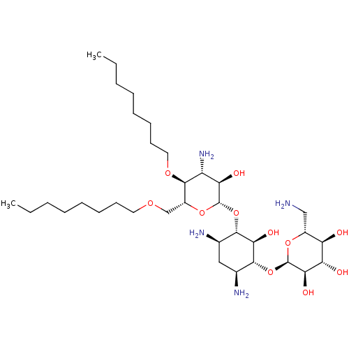 PNG