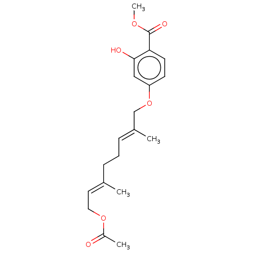 PNG