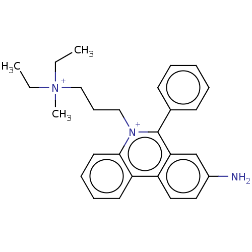 PNG