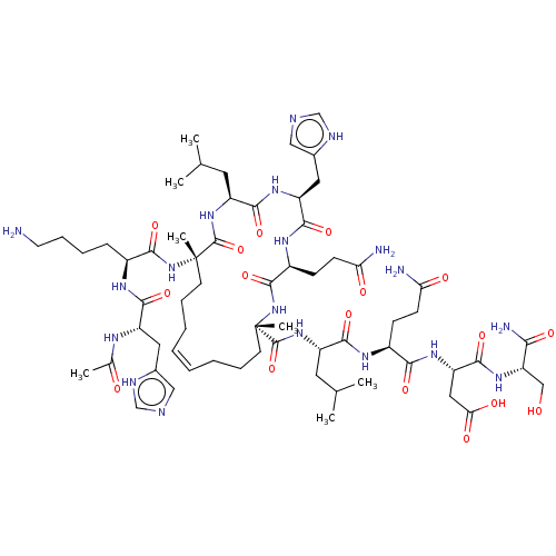 PNG