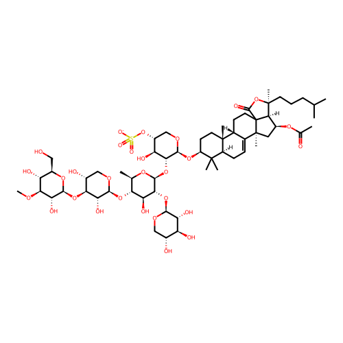 PNG