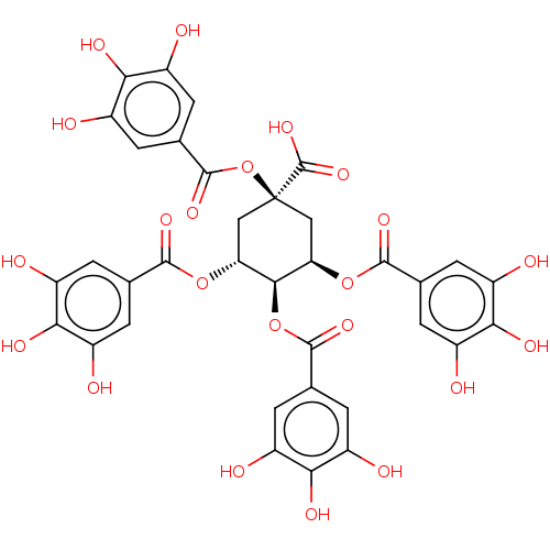 PNG
