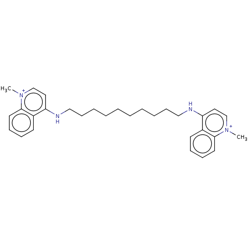 PNG