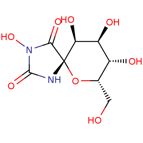 PNG