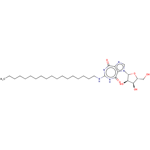 PNG