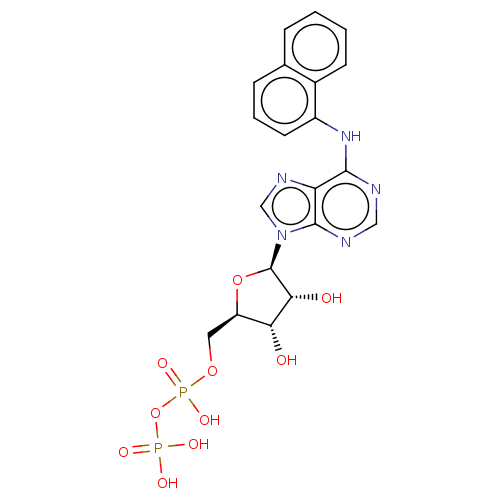 PNG
