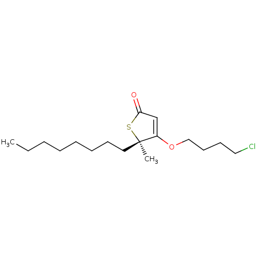 PNG
