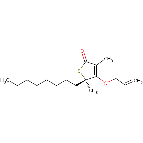 PNG
