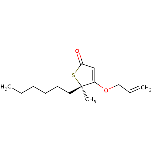 PNG