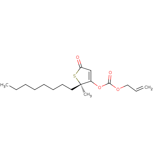 PNG