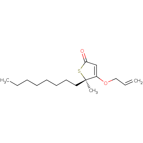 PNG