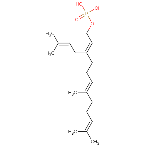 PNG