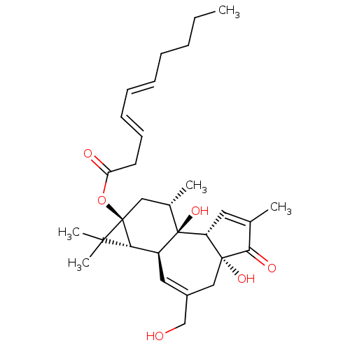 PNG